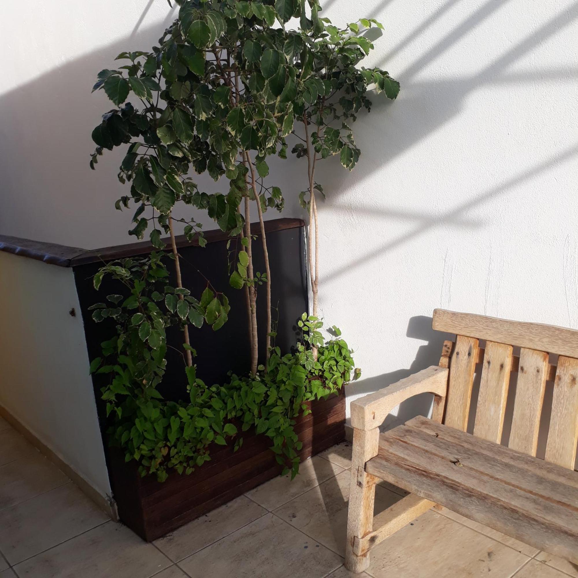 Pousada Caribe Milagrense São Miguel dos Milagres Exterior foto